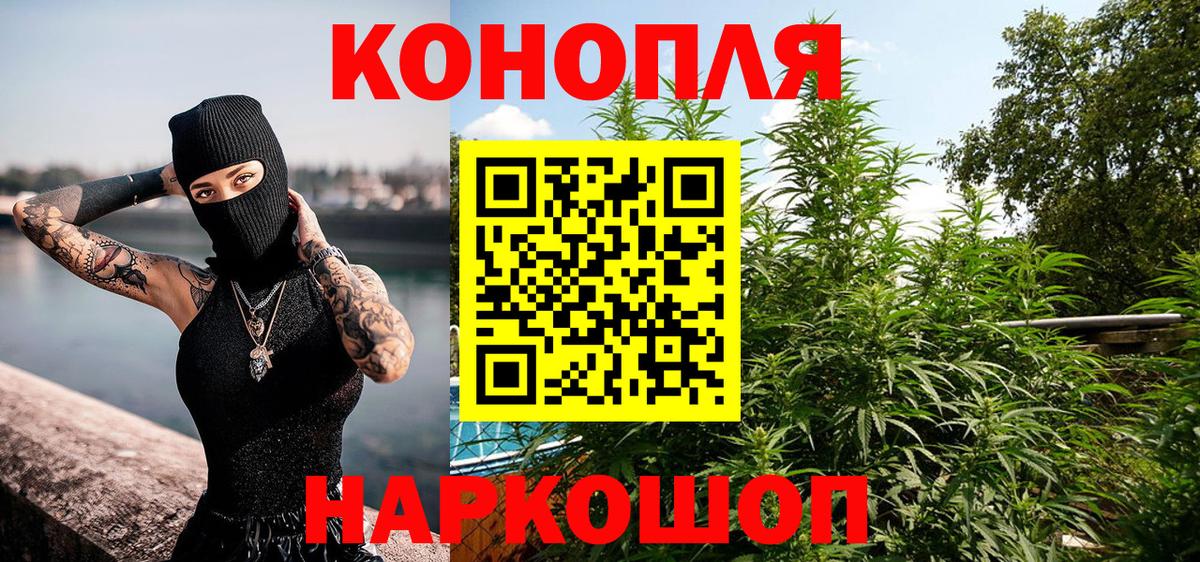Марихуана индика Курчалой